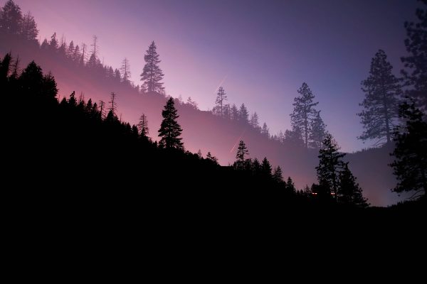samuel-sng-ui5jOU-MTWQ-unsplash